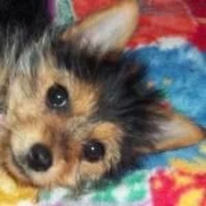 Meet your Posher, Patty